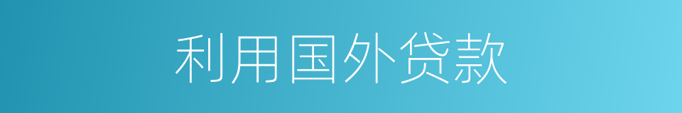 利用国外贷款的同义词