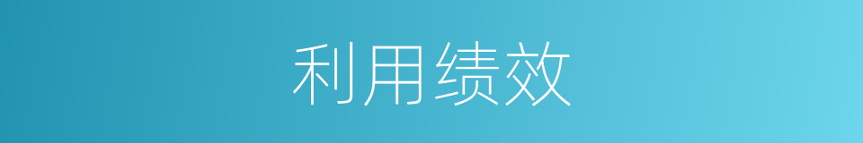 利用绩效的同义词