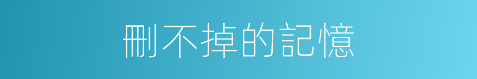 刪不掉的記憶的同義詞