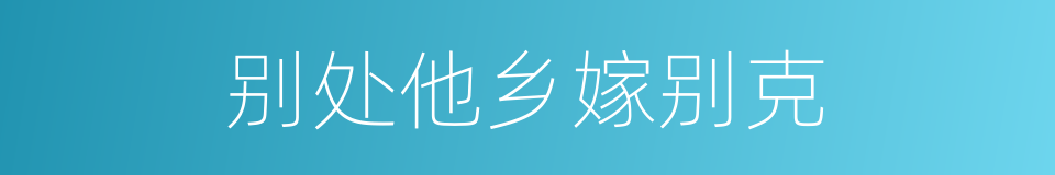 别处他乡嫁别克的同义词