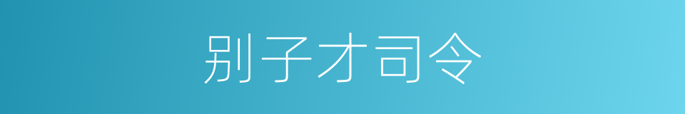 别子才司令的同义词