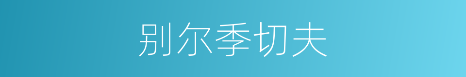 别尔季切夫的同义词