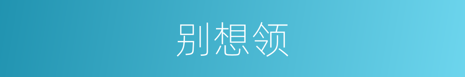 别想领的同义词