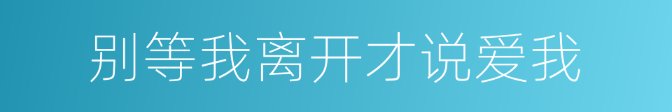 别等我离开才说爱我的同义词