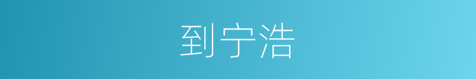 到宁浩的同义词