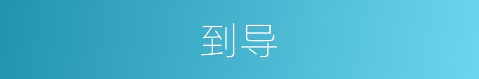 到导的同义词