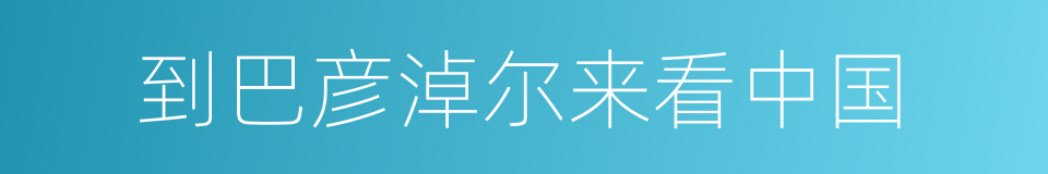 到巴彦淖尔来看中国的同义词