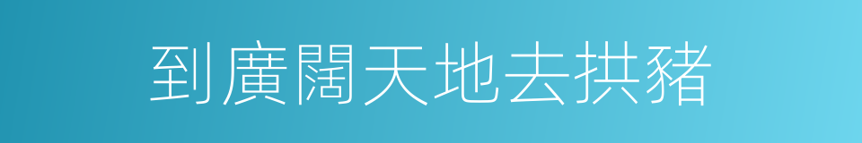 到廣闊天地去拱豬的同義詞