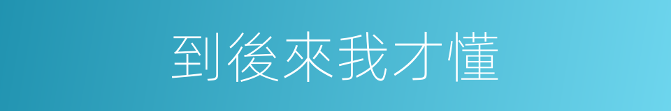 到後來我才懂的同義詞