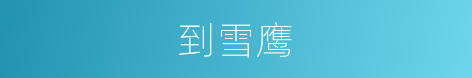 到雪鹰的同义词