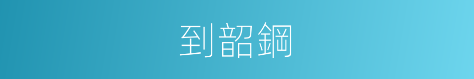 到韶鋼的同義詞