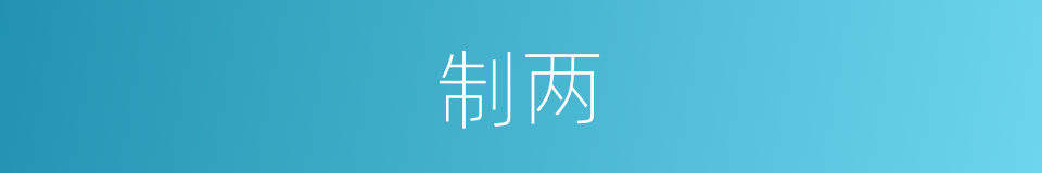制两的同义词