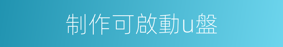 制作可啟動u盤的同義詞