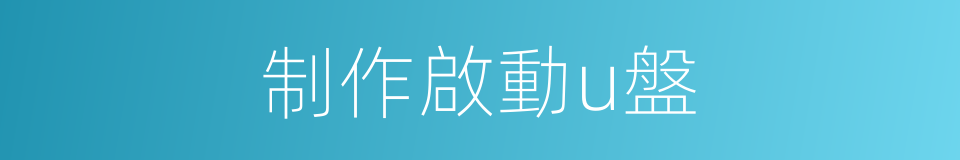 制作啟動u盤的同義詞