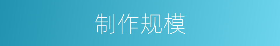 制作规模的同义词