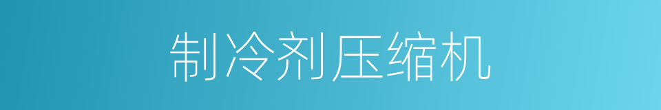 制冷剂压缩机的同义词
