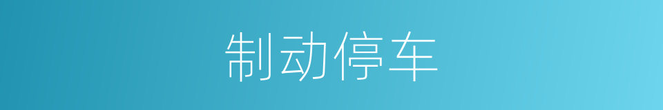 制动停车的同义词