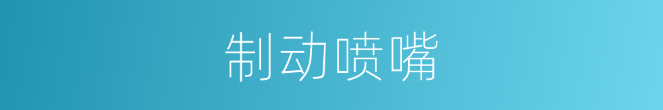 制动喷嘴的同义词