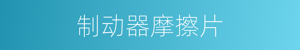 制动器摩擦片的同义词