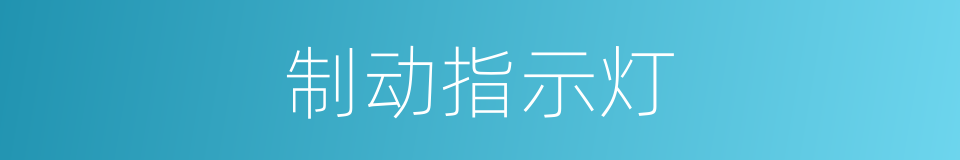 制动指示灯的同义词