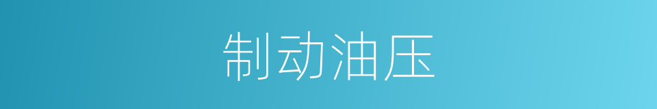 制动油压的同义词