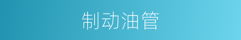 制动油管的同义词