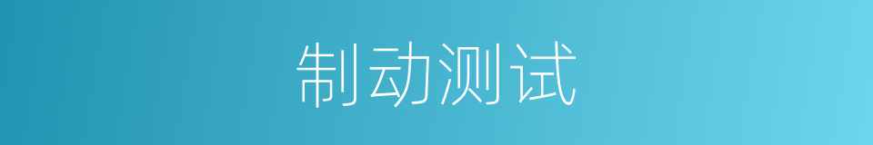 制动测试的同义词