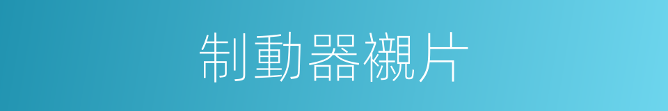 制動器襯片的同義詞