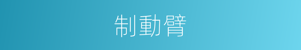 制動臂的同義詞