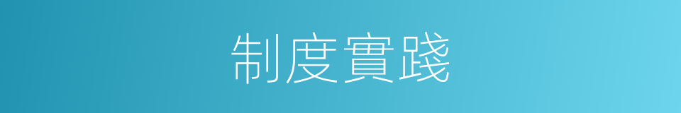 制度實踐的同義詞