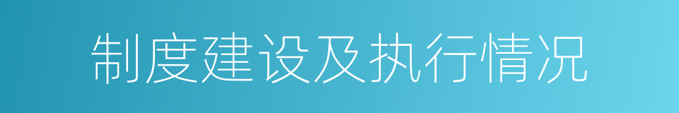 制度建设及执行情况的同义词