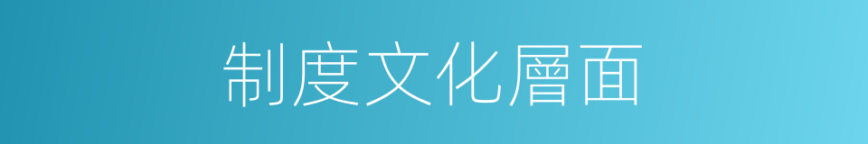 制度文化層面的同義詞