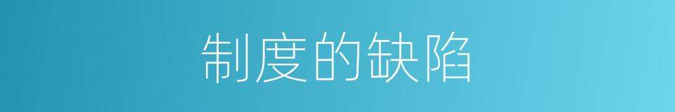制度的缺陷的同义词