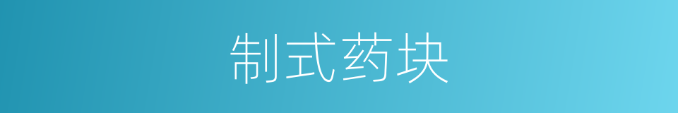 制式药块的同义词