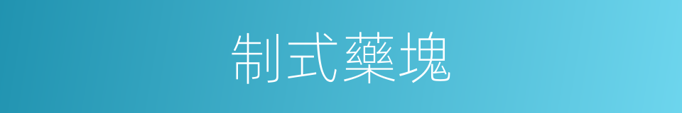 制式藥塊的同義詞