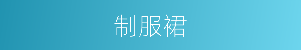 制服裙的意思