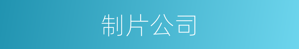 制片公司的意思