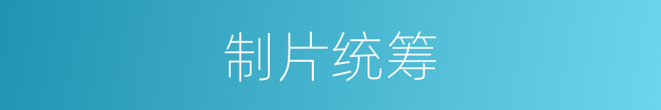 制片统筹的同义词