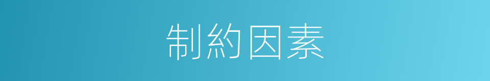 制約因素的同義詞