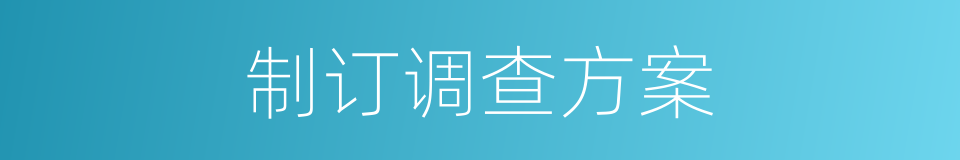 制订调查方案的同义词