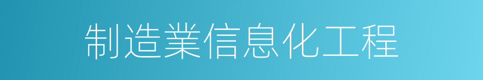 制造業信息化工程的同義詞