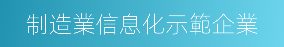 制造業信息化示範企業的同義詞