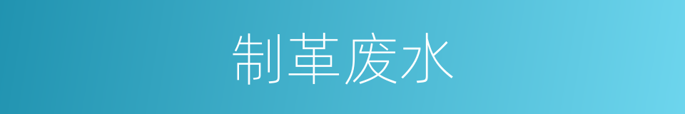 制革废水的同义词