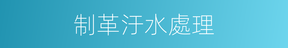 制革汙水處理的同義詞