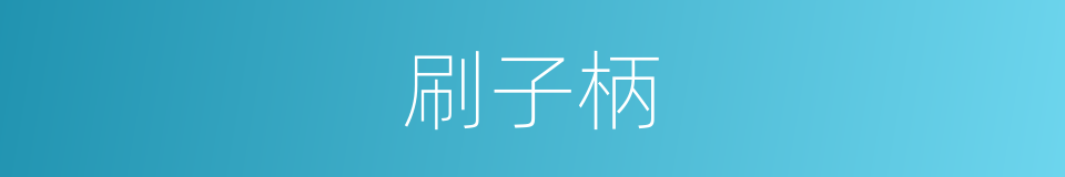 刷子柄的同义词