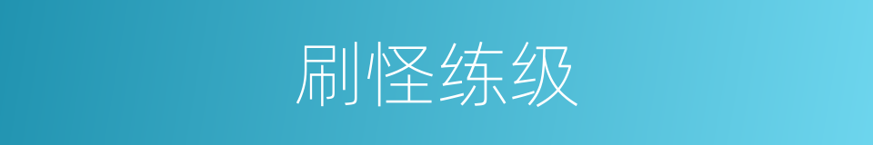 刷怪练级的同义词