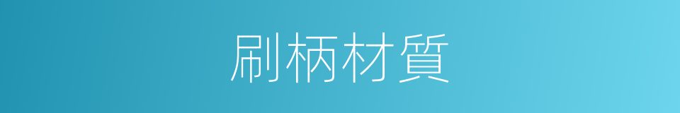 刷柄材質的同義詞