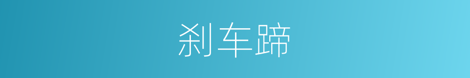 刹车蹄的同义词