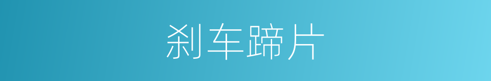 刹车蹄片的同义词