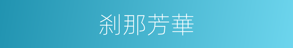 刹那芳華的意思